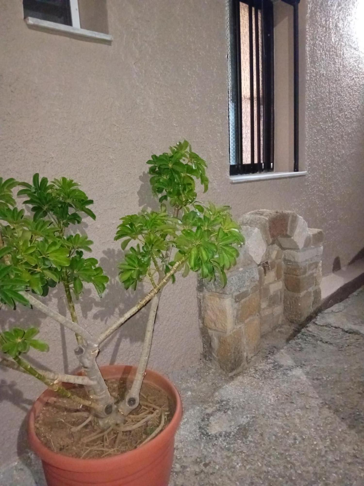 Willa Casa Artemis Plátanos Zewnętrze zdjęcie